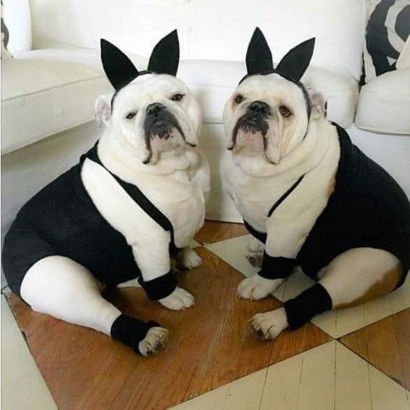 Meet your Posher, Jessi - Picture 6 of 13